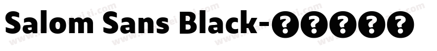 Salom Sans Black字体转换